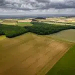 Приватизація землі під будинком у 2026 році