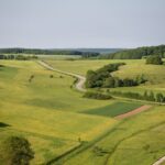 Оренда паю у 2026 році: чи продовжився договір автоматично